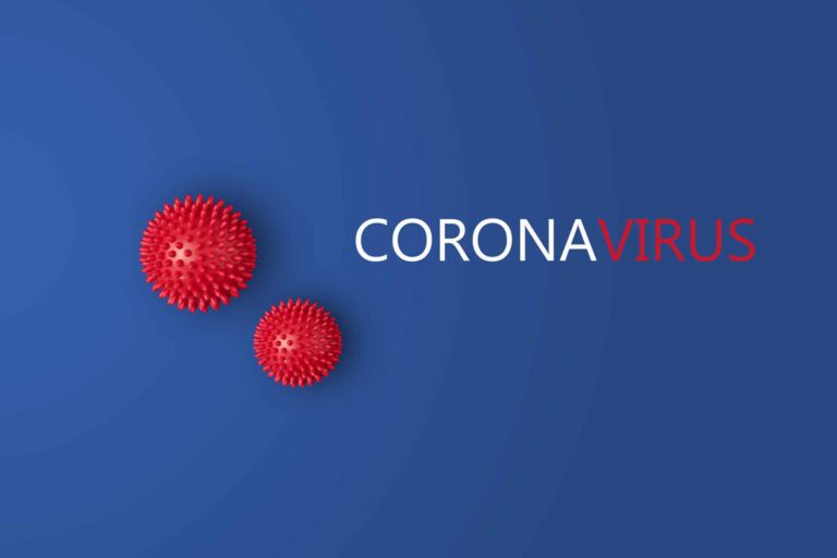 marchés publics et coronavirus